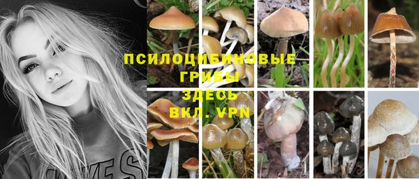 таблы Богородицк