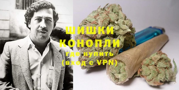 ГАЛЛЮЦИНОГЕННЫЕ ГРИБЫ Баксан