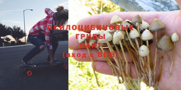 ГАЛЛЮЦИНОГЕННЫЕ ГРИБЫ Баксан