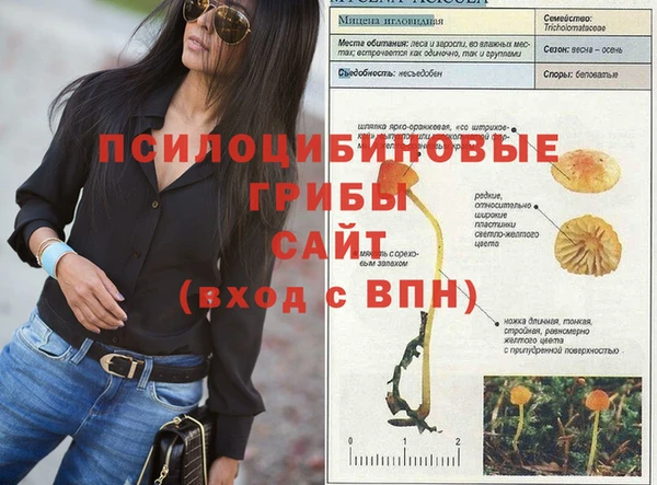 метадон Богданович