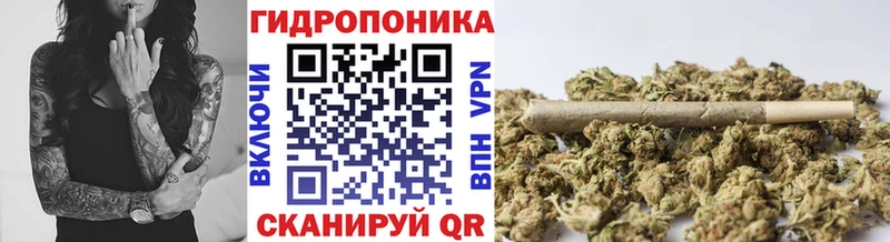 Конопля планчик  Верещагино 
